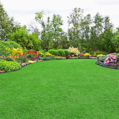 Why Regular Lawn Cutting & Grass Maintenance is Important
