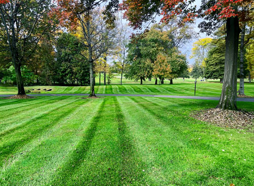 Lawn Fertilizing, Burlington County NJ | Kurt's Complete